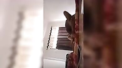 Desi Sex MMS Clip of Hot Marathi Maid fucked by her master