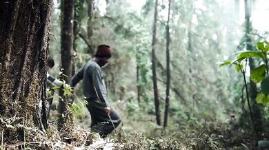 Hot MMS XXX video of an Indian lady fucked in a jungle